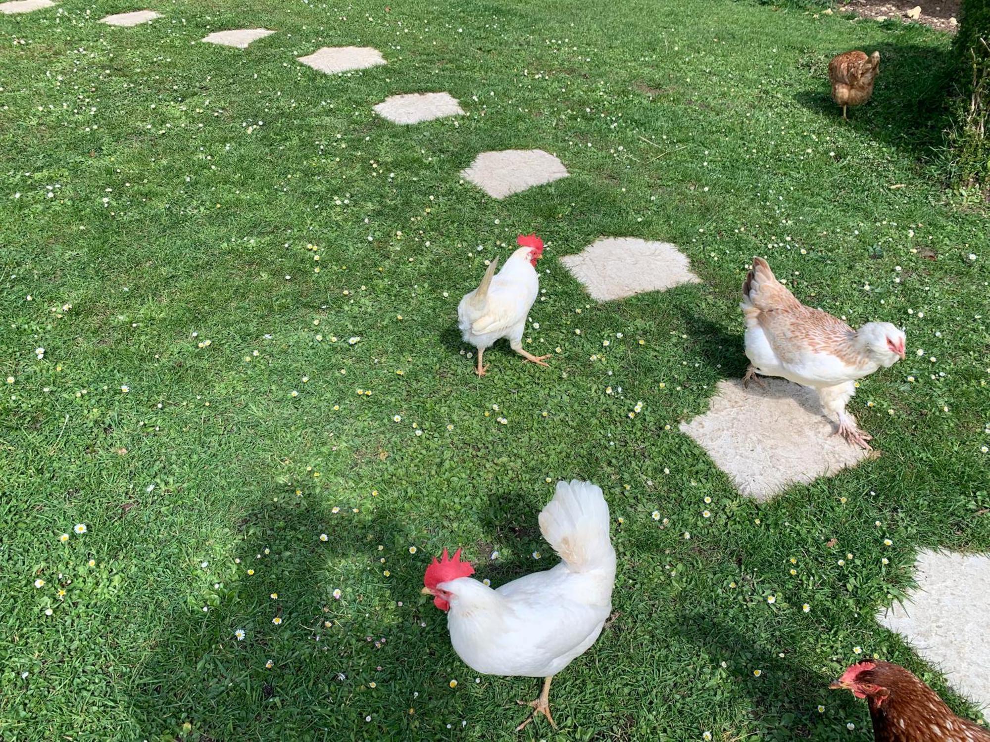 Gite "L'Annexe Du Parc" Tout Compris Vimoutiers Exterior foto